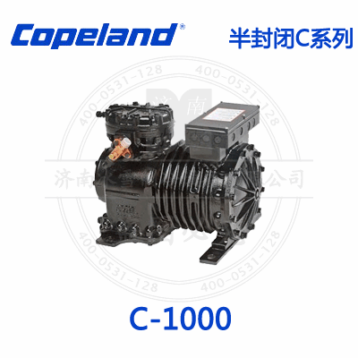 C-1000